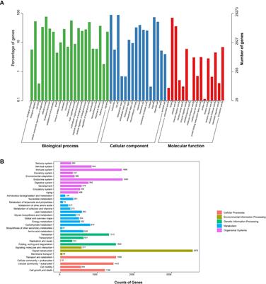 Full-Length Transcriptome Data for the White Cloud Mountain Minnow (Tanichthys albonubes) From a Wild Population Based on Isoform Sequencing